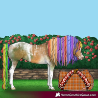 Horse Color:Powder White Painted Chocolate Palomino Dun Tobiano 