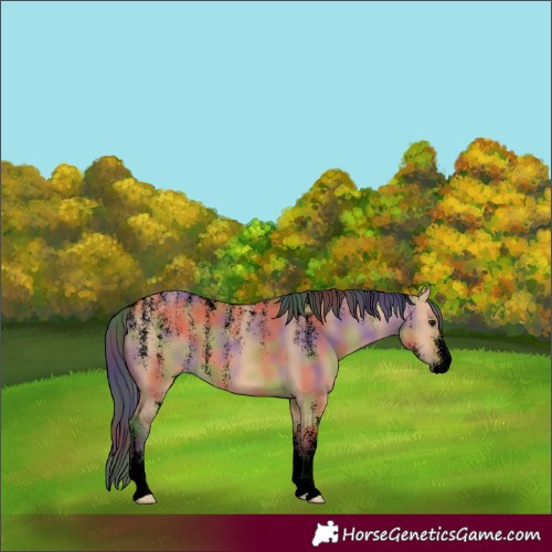 Horse Color:Powder White Void Nacre Bay Dun 