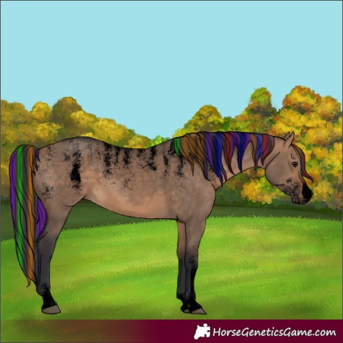 Horse Color:Powder White Void Painted Bay Dun