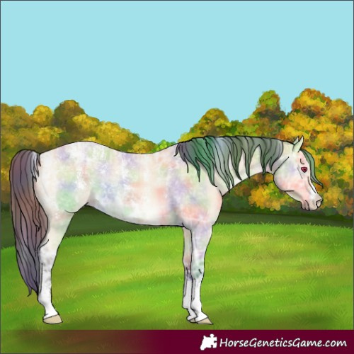 Horse Color:Powder White Nacre Buckskin Ice 