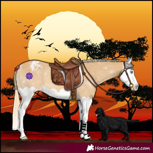 Horse Color:Palomino Dun Splash Varnish 