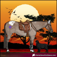 Horse Color:Liver Red Dun Varnish 