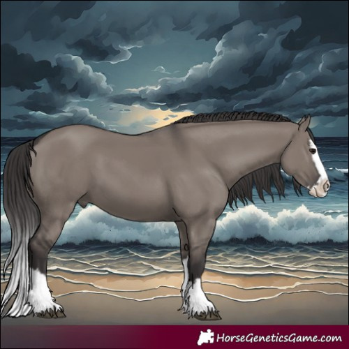 Horse Color:Smoky Grullo Splash 