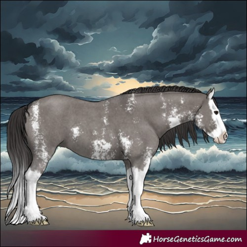 Horse Color:Smoky Grullo Sabino Splash