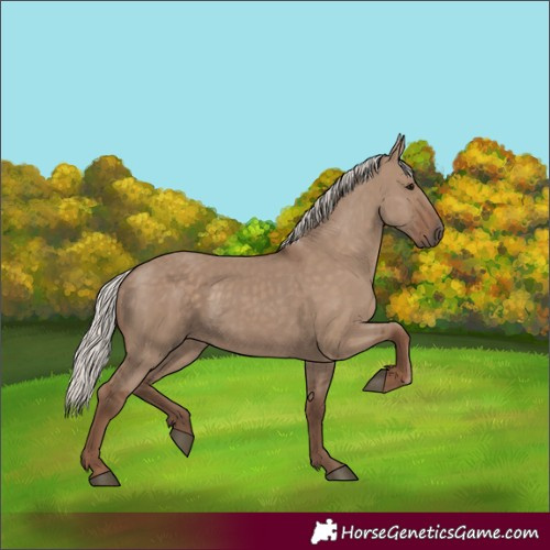 Horse Color:Silver Grullo