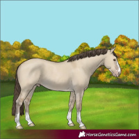 Horse Color:Classic Cream Champagne Dun 