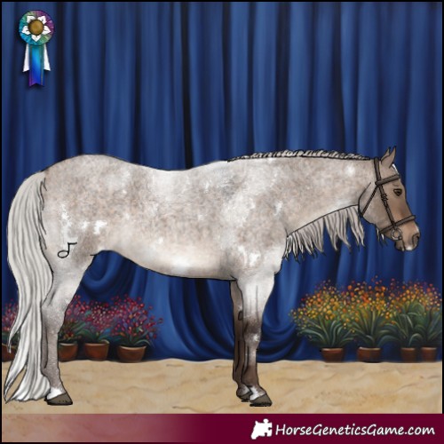 Horse Color:White Spotted Silver Brown Roan Dun 