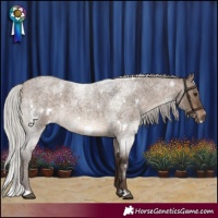 Horse Color:White Spotted Silver Brown Roan Dun 