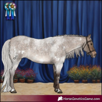 Horse Color:White Spotted Silver Brown Roan Dun