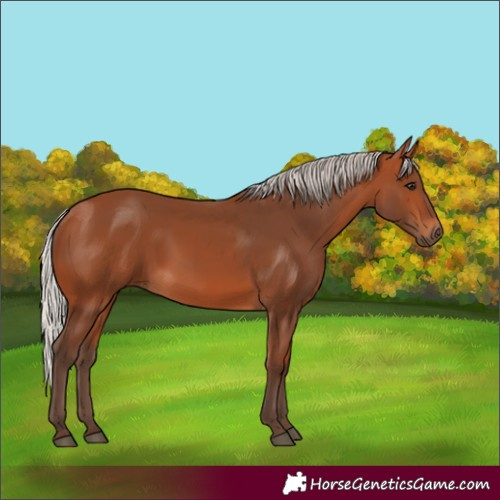 Horse Color:Silver Bay