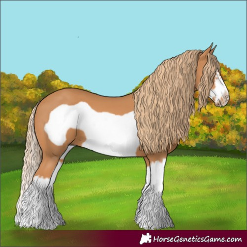 Horse Color:Chestnut Splash Frame