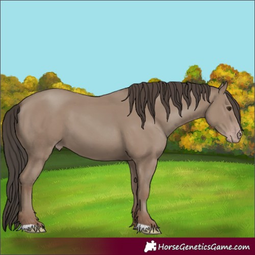 Horse Color:Classic Champagne 