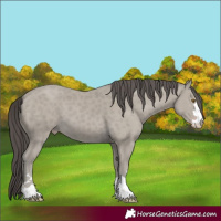 Horse Color:Classic Cream Champagne 