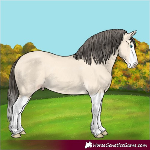 Horse Color:Amber Cream Champagne Splash 