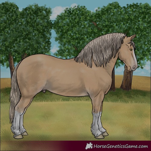 Horse Color:Gold Champagne Splash