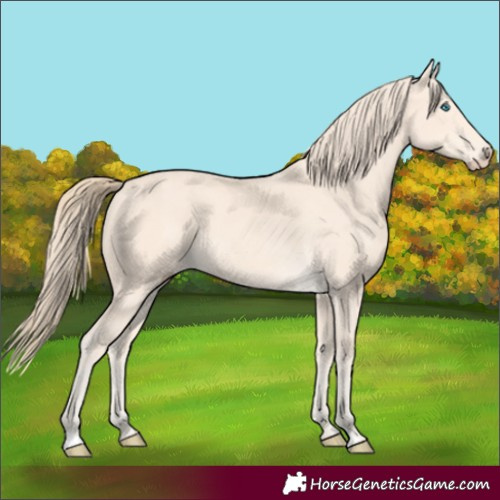 Horse Color:Perlino 