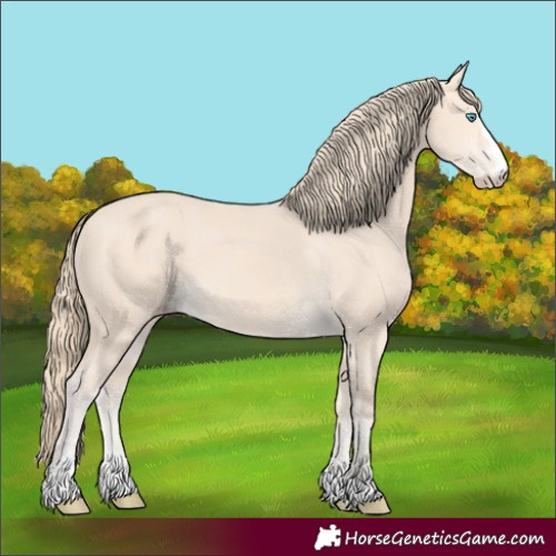 Horse Color:Perlino 