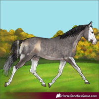 Horse Color:Brown Onyx  and Platinum Brown Dun Splash 