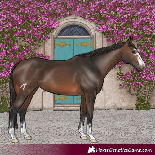 Horse Color:Brown 