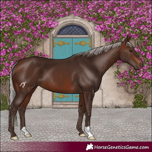 Horse Color:Silver Brown