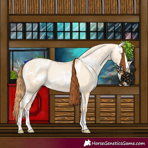 Horse Color:White Spotted Buckskin Pearl Dun 