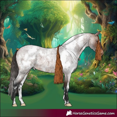 Horse Color:White Spotted Brown Roan Appaloosa