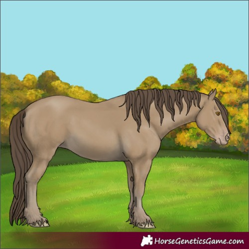 Horse Color:Classic Cream Champagne 