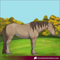 Horse Color:Classic Cream Champagne 