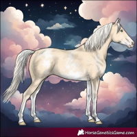 Horse Color:White Spotted Gold Cream Champagne 