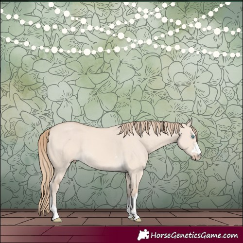 Horse Color:Perlino Dun 
