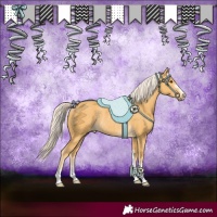 Horse Color:Palomino Rabicano 
