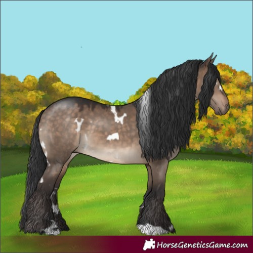 Horse Color:White Spotted Brown Dun 