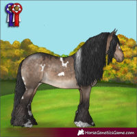 Horse Color:White Spotted Brown Dun