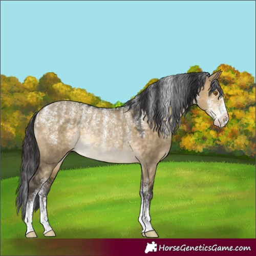 Horse Color:Powder White Buckskin Dun Rabicano