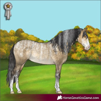 Horse Color:Powder White Buckskin Dun Rabicano 