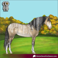 Horse Color:Powder White Buckskin Dun Rabicano 