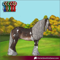 Horse Color:White Spotted Silver Brown Tobiano