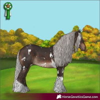 Horse Color:White Spotted Silver Brown Tobiano 