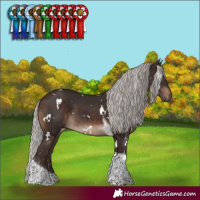 Horse Color:White Spotted Silver Brown Tobiano