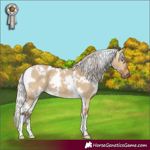 Horse Color:White Spotted Silver Buckskin Dun 