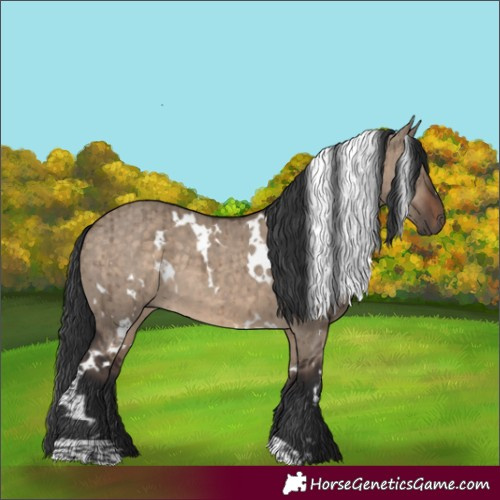 Horse Color:White Spotted Brown Dun Brindle 