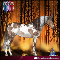 Horse Color:White Spotted Liver Red Dun Rabicano Brindle 
