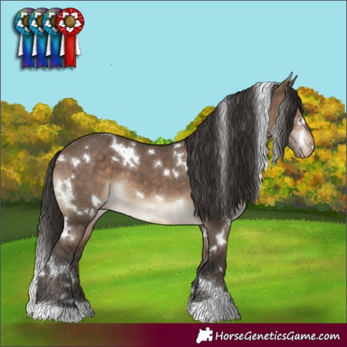 Horse Color:White Spotted Brown Dun Varnish 