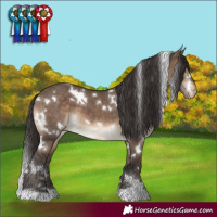 Horse Color:White Spotted Brown Dun Varnish