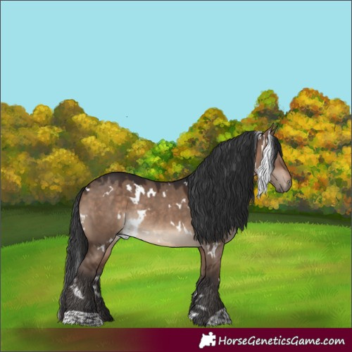 Horse Color:White Spotted Brown Dun Rabicano 