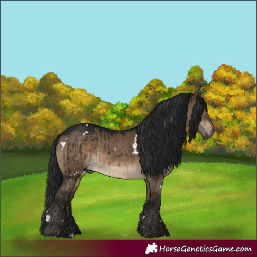 Horse Color:Gray White Spotted Brown Dun Rabicano Brindle 