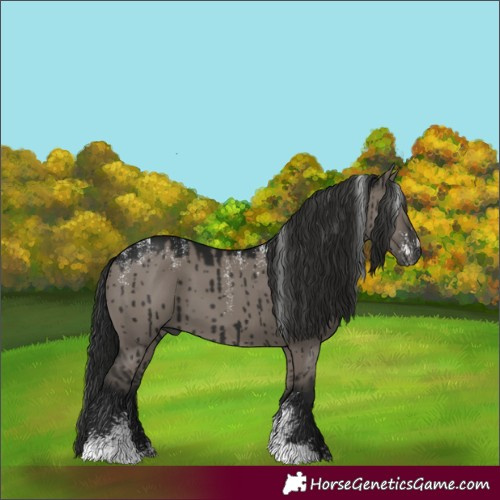 Horse Color:Powder White Gray Grullo Brindle 