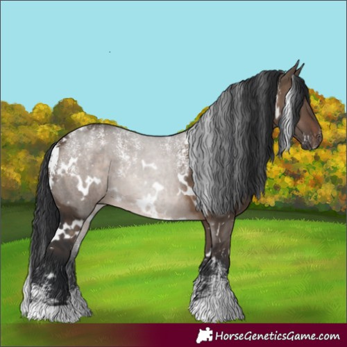 Horse Color:Powder White White Spotted Brown Dun