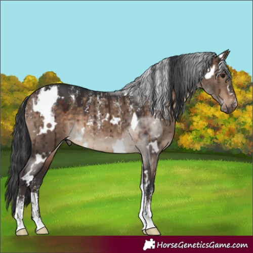Horse Color:Powder White White Spotted Brown Dun Brindle 