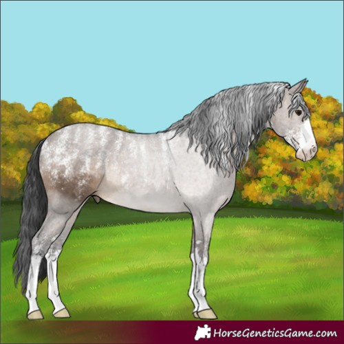 Horse Color:Powder White Brown Dun Rabicano 